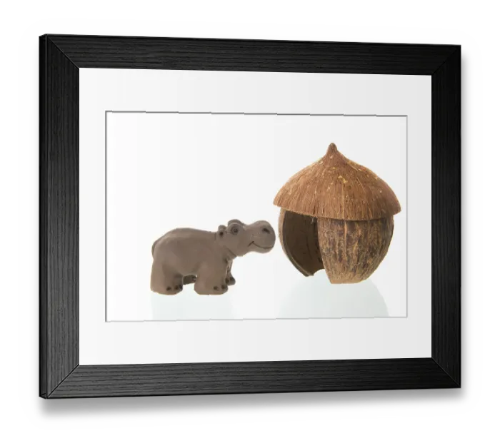 Framed Print : Tropical straw hut with hippo isolated over white background Framed Print : Tropical straw hut with hippo isolated over white background