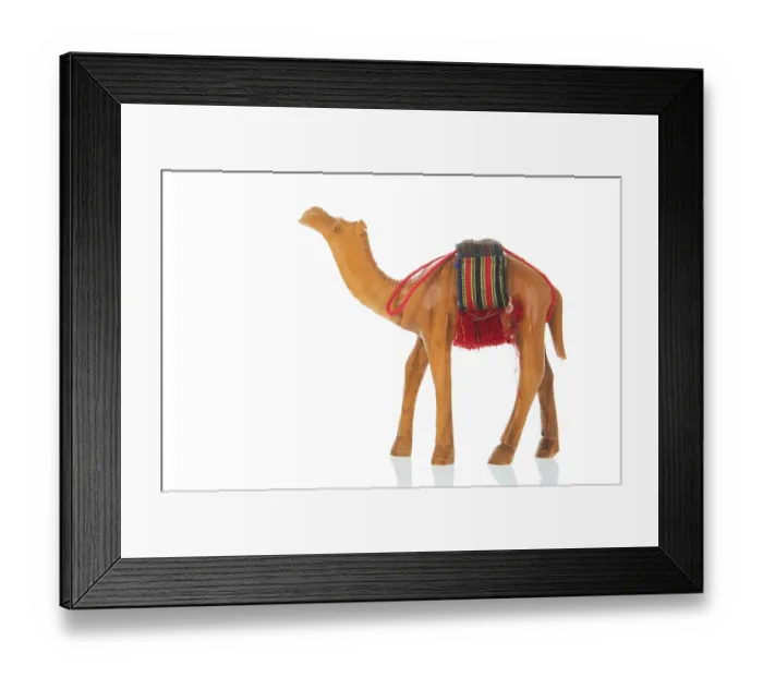 Framed Print : Camel figurine isolated over white background Framed Print : Camel figurine isolated over white background