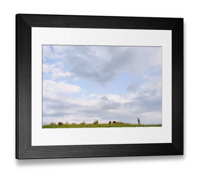 Framed Print : Shepherd and flock of sheep epically graze against the blue sky with clouds Framed Print : Shepherd and flock of sheep epically graze against the blue sky with clouds