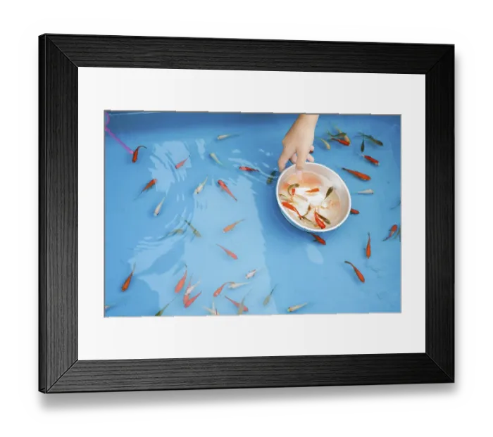 Framed Print : Image of goldfish salvation of summer festival Framed Print : Image of goldfish salvation of summer festival