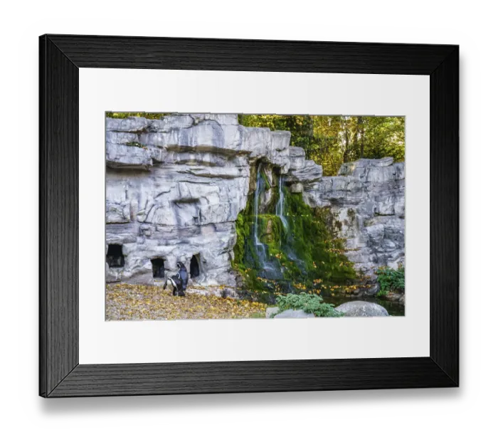 Framed Print : Many beautiful wild animals in the Munich Zoo