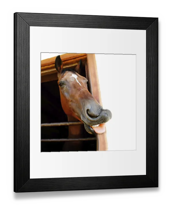 Framed Print : The horse's head looking out a stable The horse's head looking out a stable