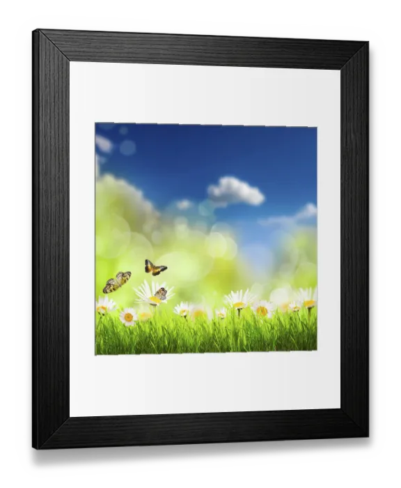 Framed Print : Spring background with grass, camomiles and butterflies over blue sky Framed Print : Spring background with grass, camomiles and butterflies over blue sky