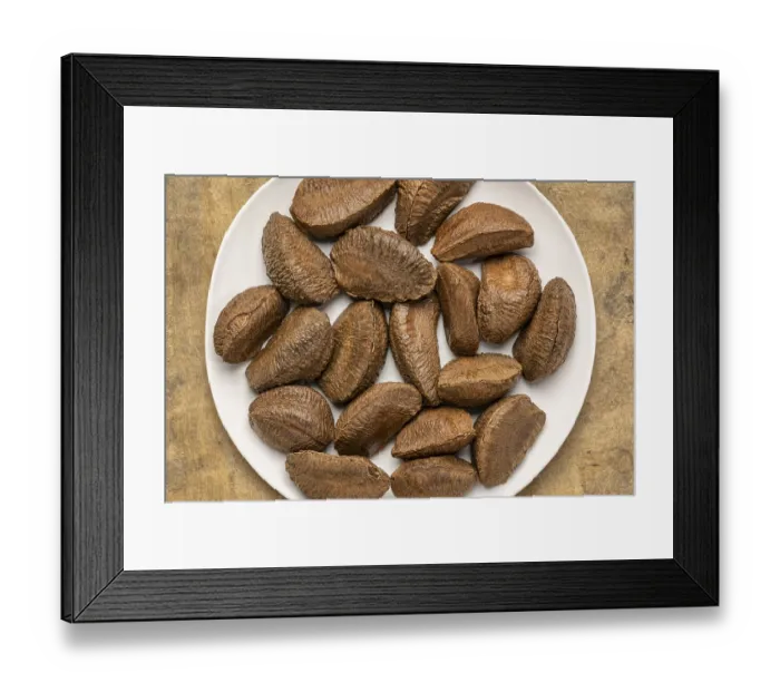 Framed Print : Brazilian nuts in shells on a white plate against textured bark paper background