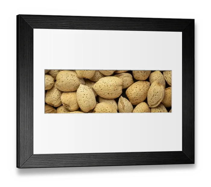 Framed Print : Almond nuts in shells - closeup background