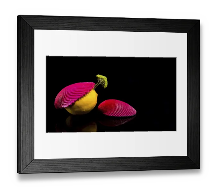 Framed Print : Creative still life with lemon and shells on a black background