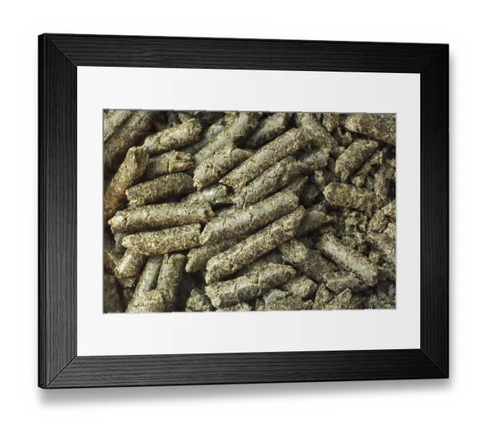 Framed Print : Sunflower seed husk in granules