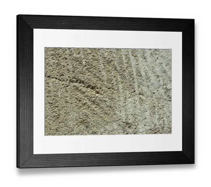Framed Print : Detailed macro cutting of limestone with many small petrified shells of small molluscs Framed Print : Detailed macro cutting of limestone with many small petrified shells of small molluscs