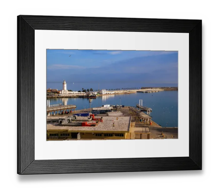 Framed Print : Seagulls flying above the harbor, Malaga, Spain
