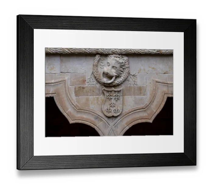 Framed Print : Courtyard of the House of Shells (Casa de las Conchas)