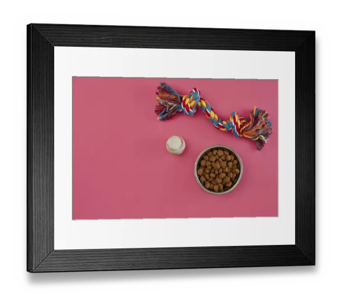 Framed Print : Toys -multi coloured rope, ball and dry food