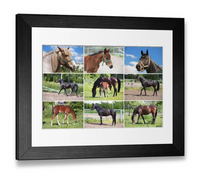 Framed Print : Beautiful photos of horse outdoors in summer