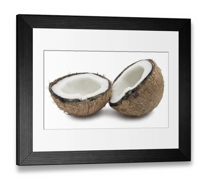 Framed Print : Perfect fresh coconut isolated on white background Framed Print : Perfect fresh coconut isolated on white background