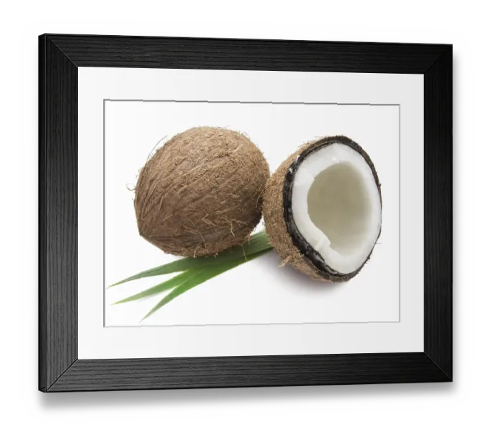 Framed Print : Perfect fresh coconut isolated on white background