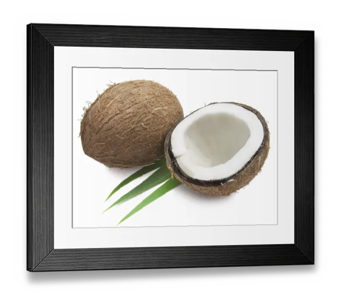 Framed Print : Perfect fresh coconut isolated on white background