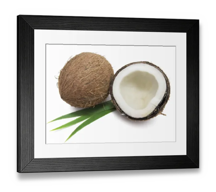 Framed Print : Perfect fresh coconut isolated on white background