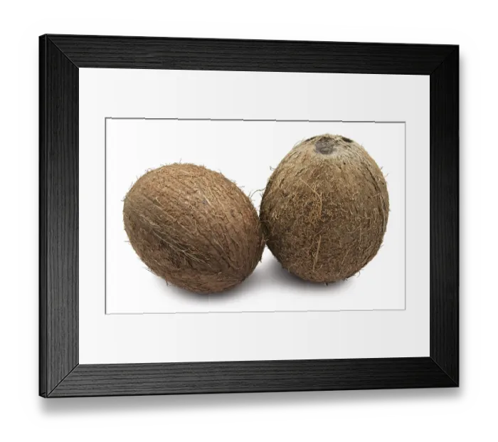 Framed Print : Perfect fresh coconut isolated on white background
