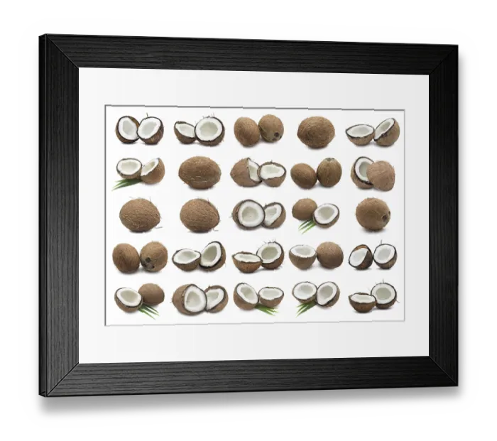 Framed Print : Collection of fresh coconuts isolated on white background Framed Print : Collection of fresh coconuts isolated on white background