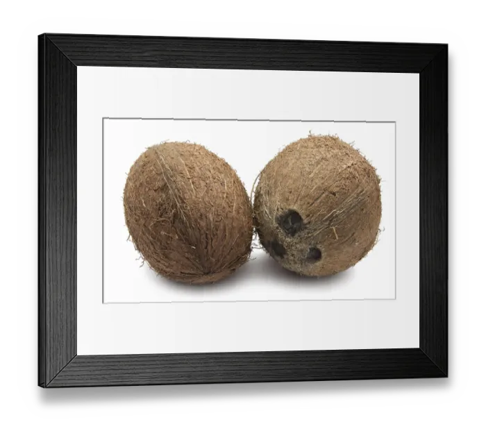 Framed Print : Perfect fresh coconut isolated on white background Framed Print : Perfect fresh coconut isolated on white background