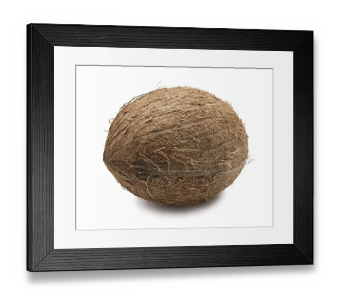 Framed Print : Perfect fresh coconut isolated on white background