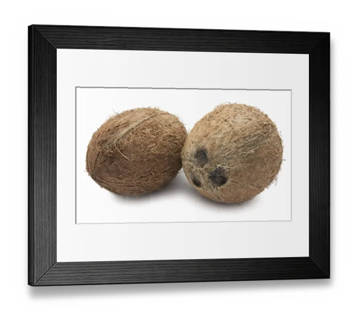 Framed Print : Perfect fresh coconut isolated on white background