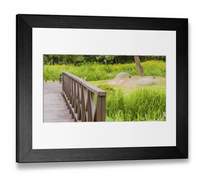 Framed Print : European sparrow perched on railing of wooden footbridge in a public park on sunny day