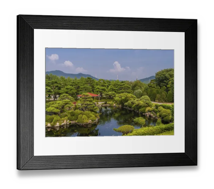Framed Print : Koi swimming in pond at beautifully manicured park with electrical towers on mountain top in background in South Korea
