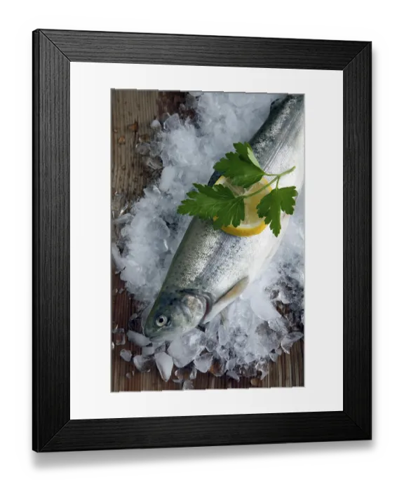 Framed Print : Freshly gutted brook trout with ice on a wooden surface Framed Print : Freshly gutted brook trout with ice on a wooden surface