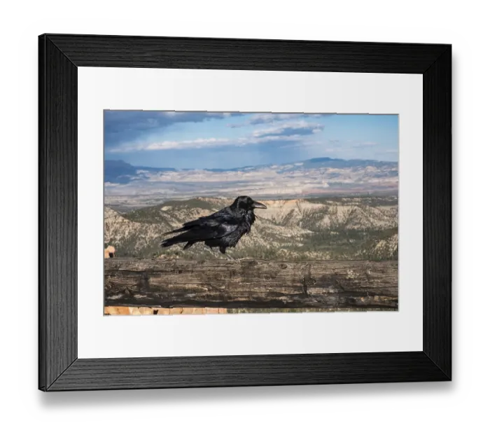 Framed Print : Raven sitting on wooden railing in canyon