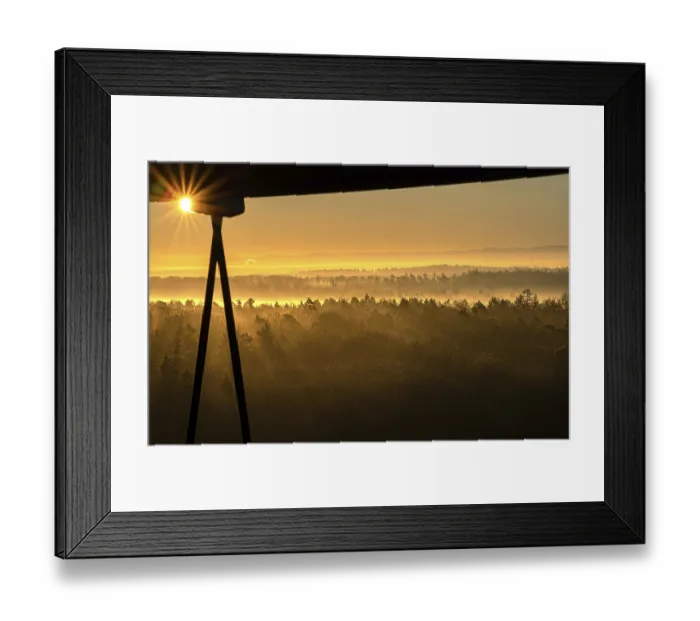 Framed Print : Misty whale in the sunrise, Schonbuchturm Framed Print : Misty whale in the sunrise, Schonbuchturm