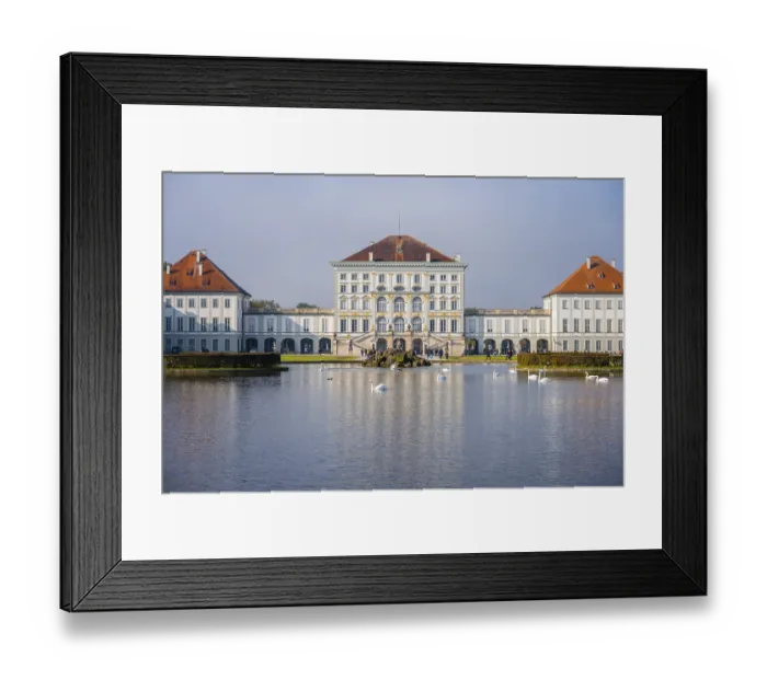 Framed Print : Swans swimming in front of Nymphenburg Palace