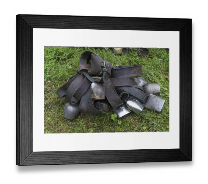 Framed Print : Cowbells ready for the Almabtrieb