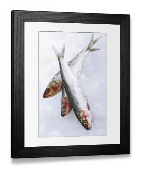 Framed Print : Three raw sardines on crushed ice Framed Print : Three raw sardines on crushed ice
