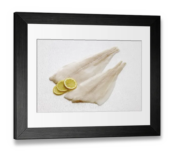 Framed Print : Atlantic Halibut filets, raw (Hippoglossus hippoglossus)