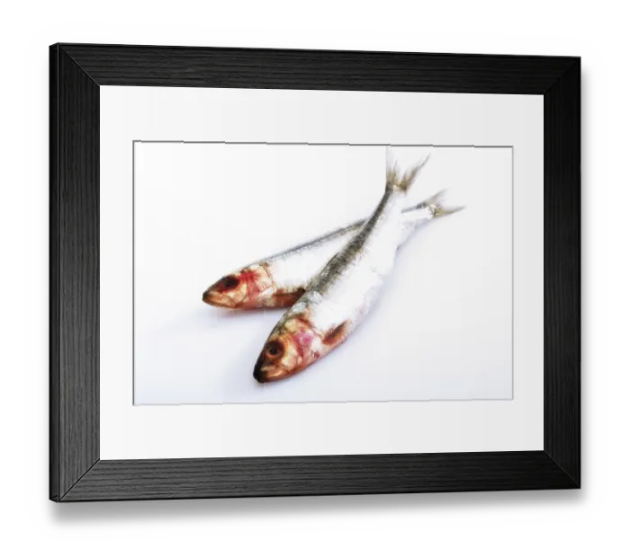 Framed Print : Two sardines Framed Print : Two sardines