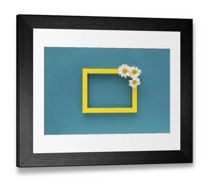 Framed Print : Yellow border blank photo frame decorated with white daisy flowers blue background Framed Print : Yellow border blank photo frame decorated with white daisy flowers blue background