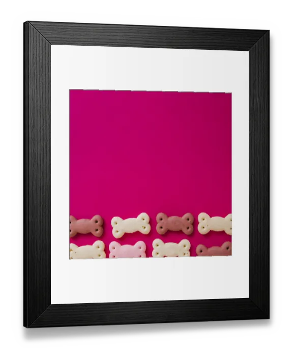 Framed Print : Funny dog snacks colorful background
