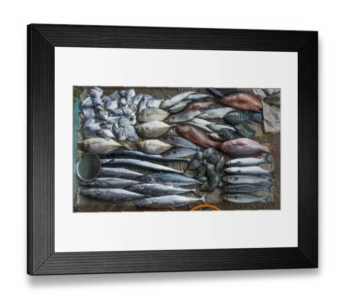 Framed Print : Freshly caught fish, fish market