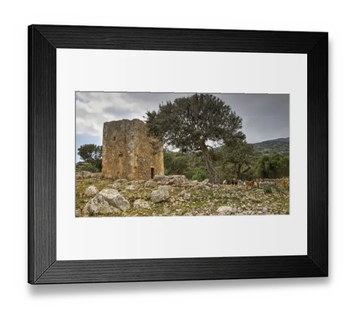 Framed Print : Old ruin and tree on rocky ground under cloudy sky