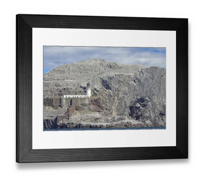 Framed Print : Lighthouse and cliffs, rocks, sky with countless birds Framed Print : Lighthouse and cliffs, rocks, sky with countless birds