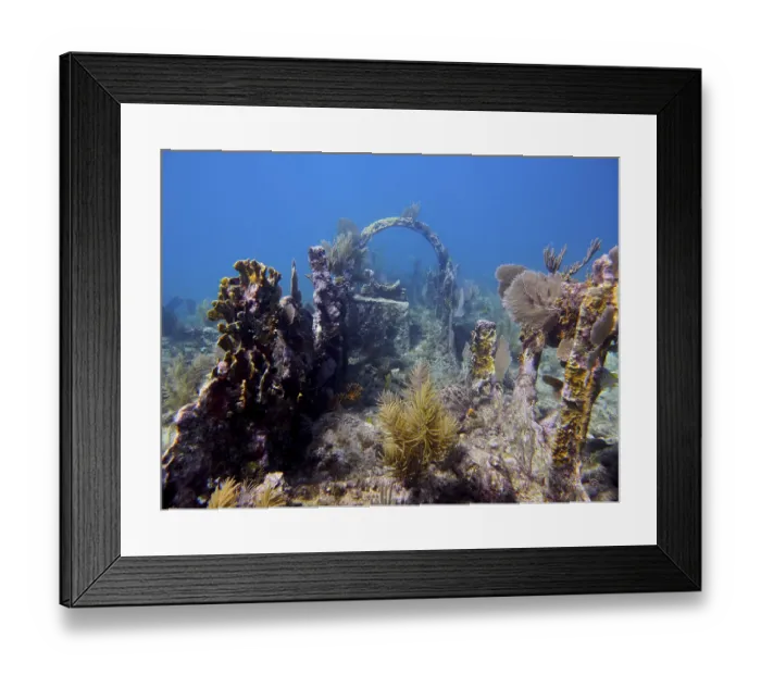 Framed Print : Old shipwreck under water overgrown with coral