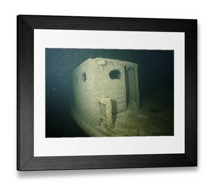 Framed Print : Shipwreck covered with quagga triangle mussels (Dreissena rostriformis bugensis)
