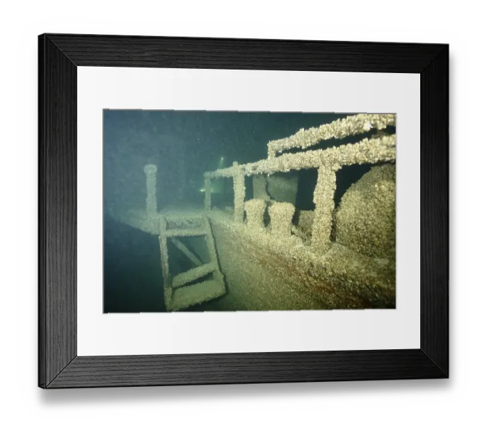 Framed Print : A shipwreck covered with quagga triangle mussels (Dreissena rostriformis bugensis) Framed Print : A shipwreck covered with quagga triangle mussels (Dreissena rostriformis bugensis)