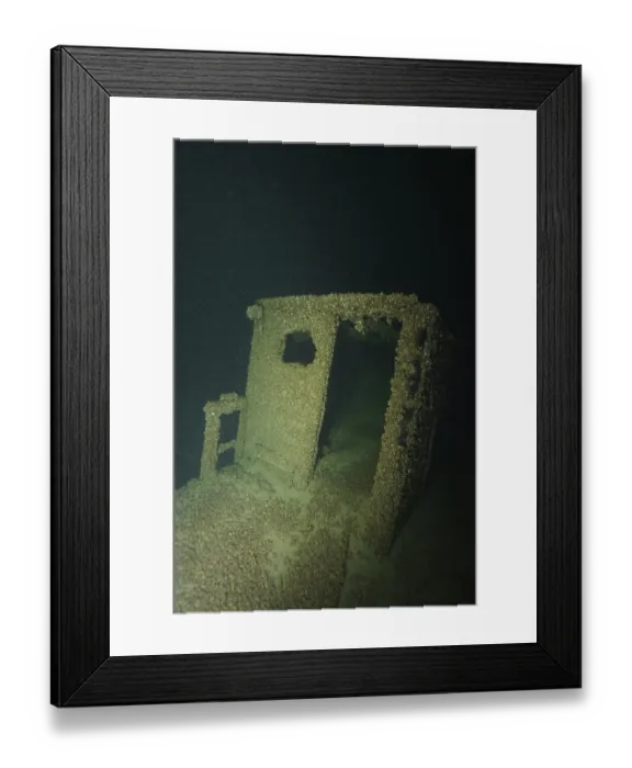 Framed Print : Shipwreck covered with quagga triangle mussels (Dreissena rostriformis bugensis) Framed Print : Shipwreck covered with quagga triangle mussels (Dreissena rostriformis bugensis)