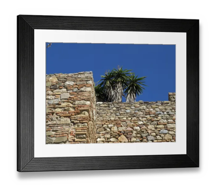 Framed Print : Very old stone wall with palm trees on top Framed Print : Very old stone wall with palm trees on top