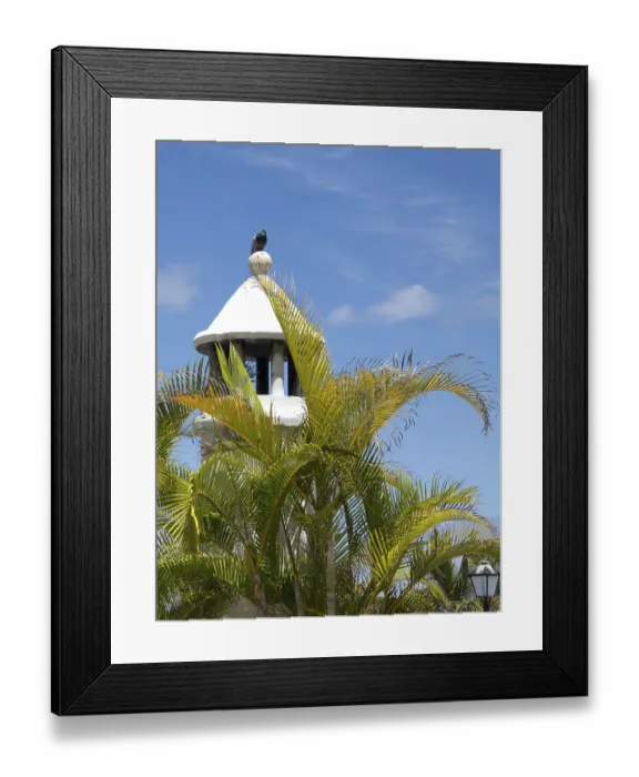 Framed Print : White tower with a bird on top Framed Print : White tower with a bird on top