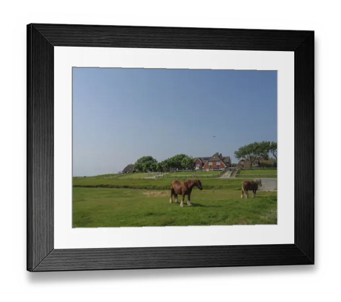 Framed Print : Horses grazing on a pasture in front of houses and meadows under a blue sky Framed Print : Horses grazing on a pasture in front of houses and meadows under a blue sky