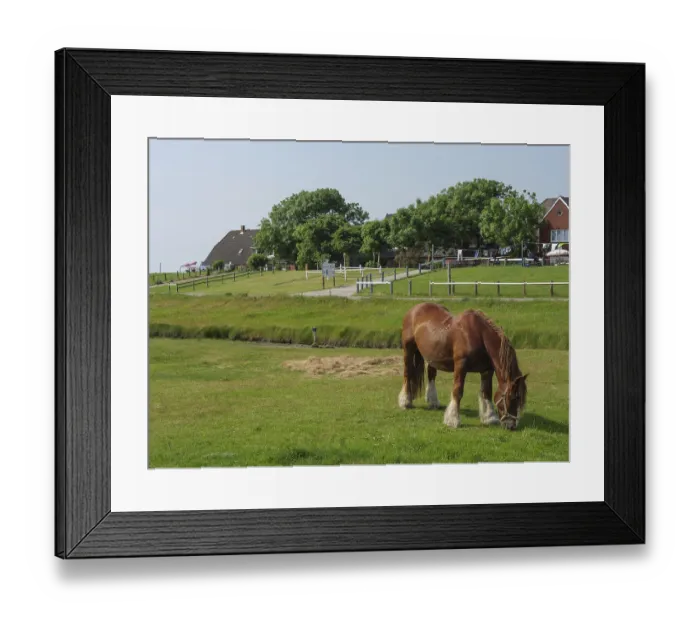 Framed Print : Horses grazing on a green area next to houses and trees Framed Print : Horses grazing on a green area next to houses and trees