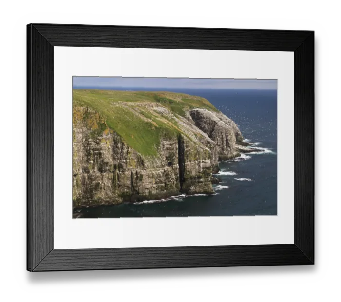 Framed Print : Bird rock at Cape St. Mary's ecological seabird reserve Framed Print : Bird rock at Cape St. Mary's ecological seabird reserve