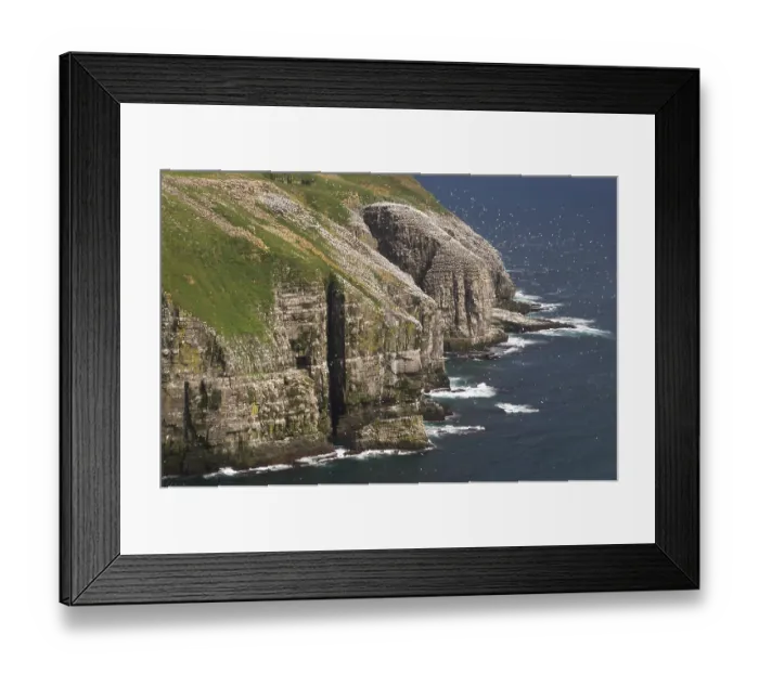 Framed Print : Bird rock at Cape St. Mary's ecological seabird reserve Framed Print : Bird rock at Cape St. Mary's ecological seabird reserve